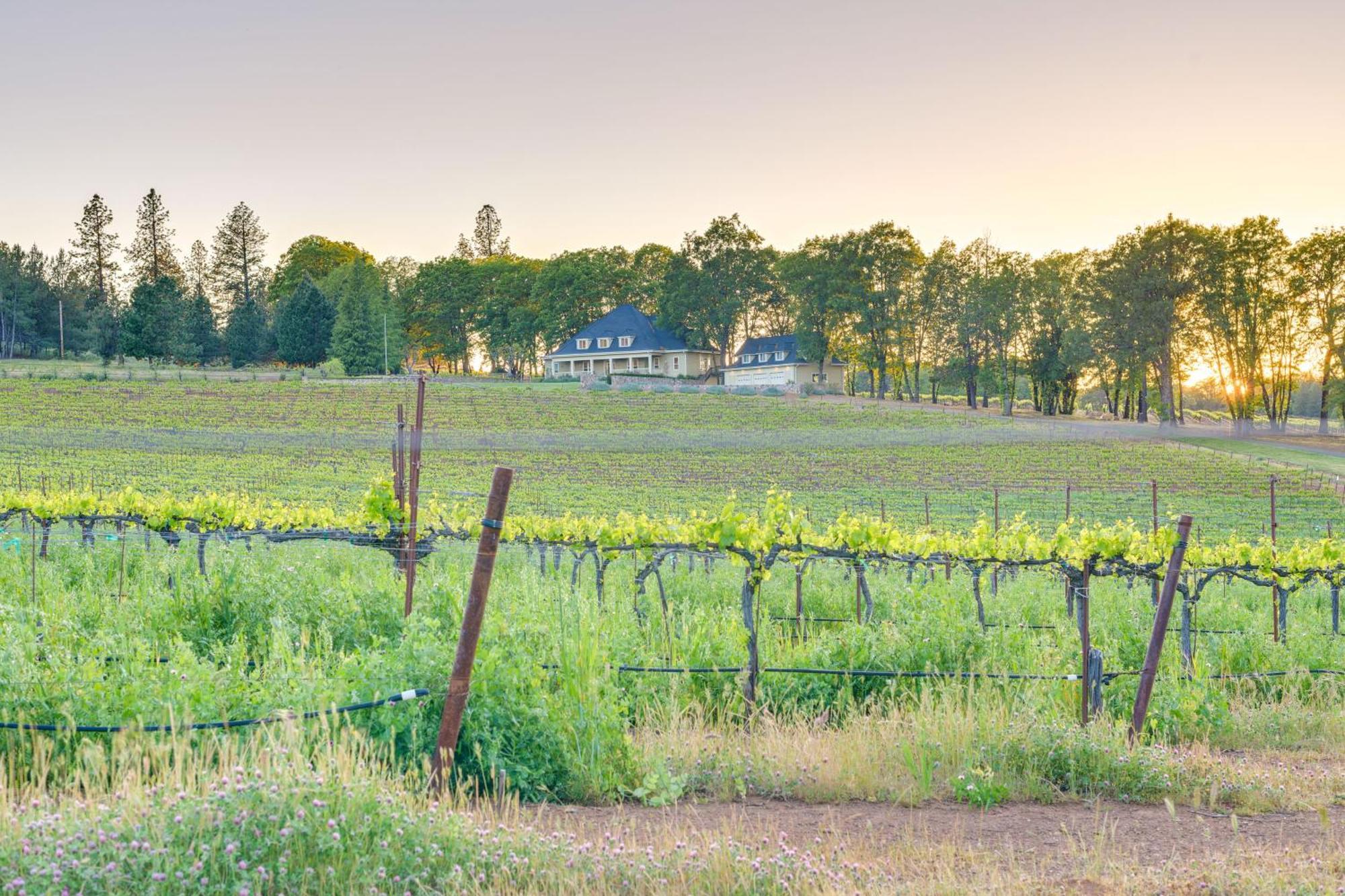 Kelseyville Home With Private Pool And Vineyard Views! Exterior foto